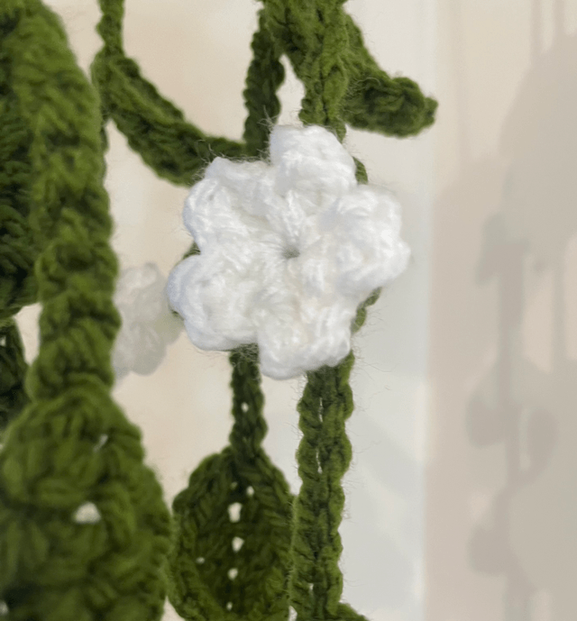Hanging plant