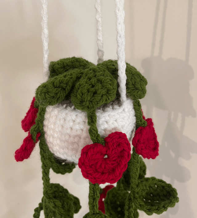Valentines Hanging plants