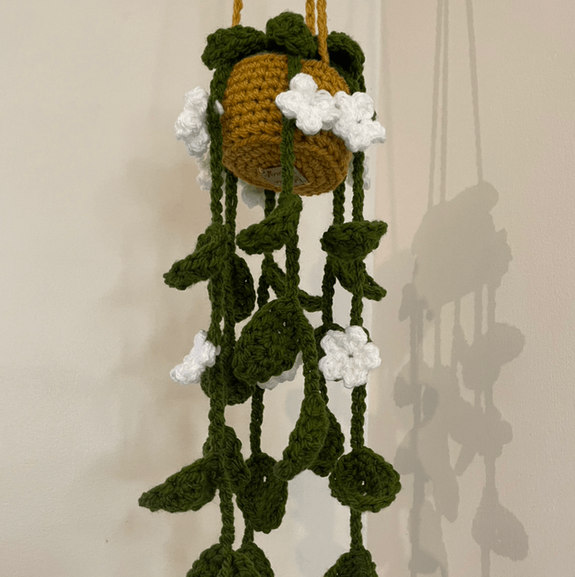 Hanging plant