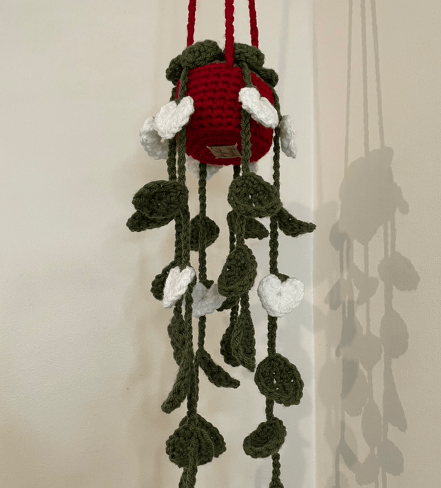 Valentines Hanging plants