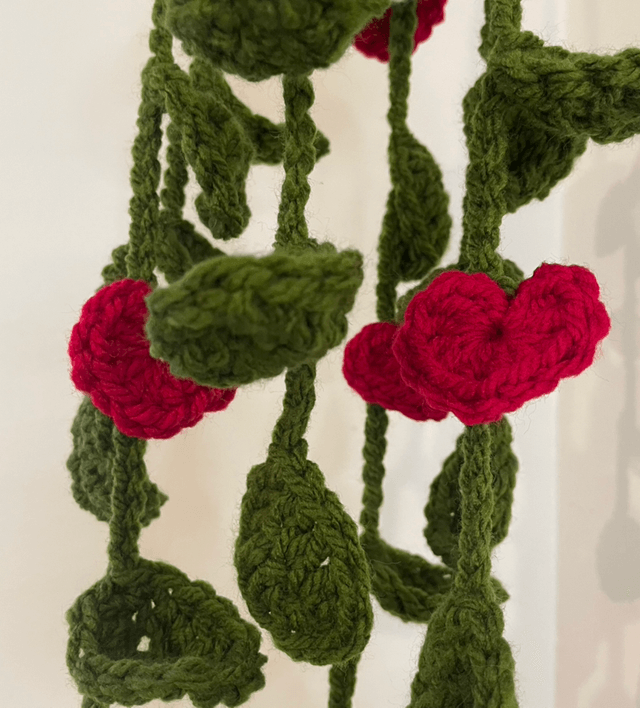 Valentines Hanging plants