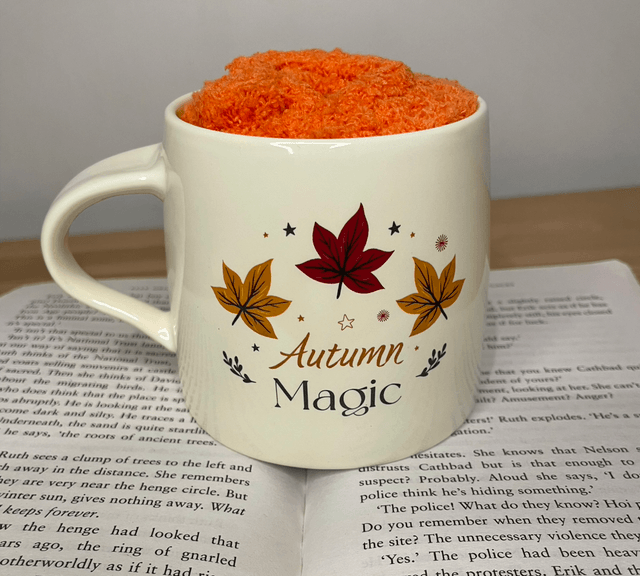 Autumn Mug with socks