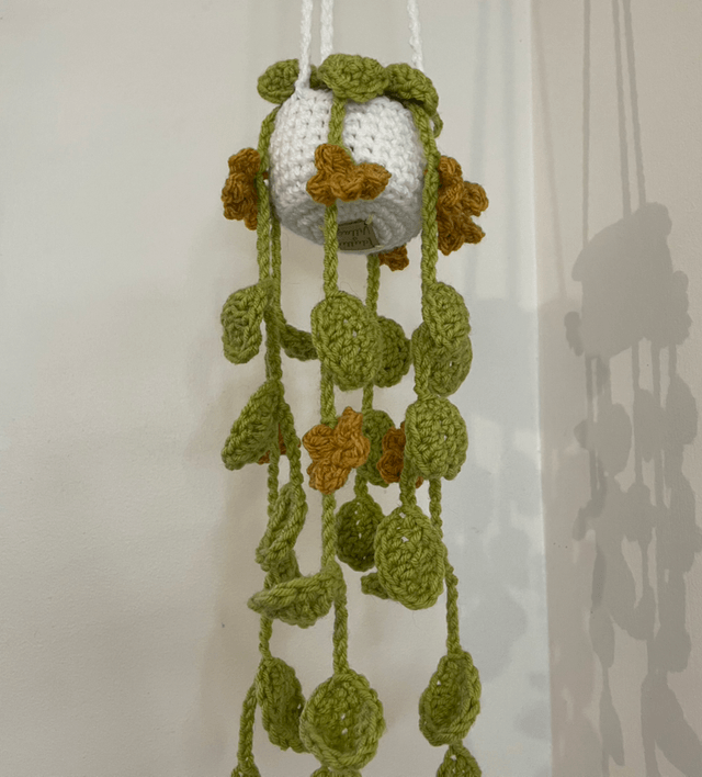 Hanging plant