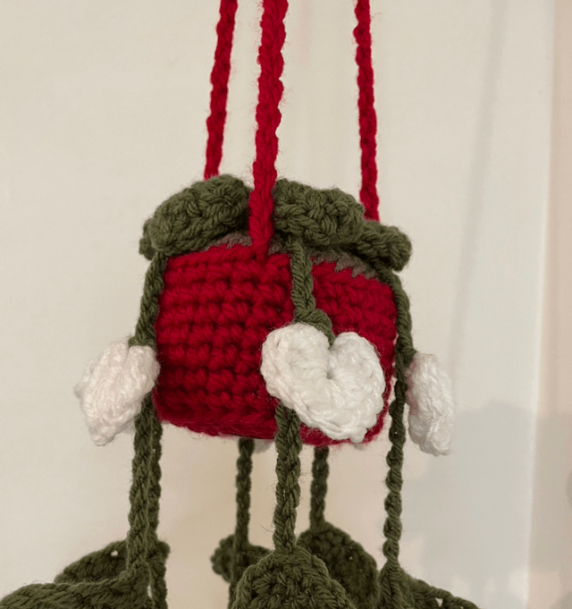 Valentines Hanging plants