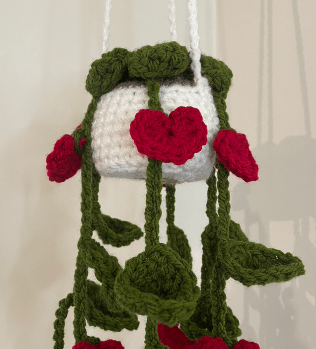 Valentines Hanging plants