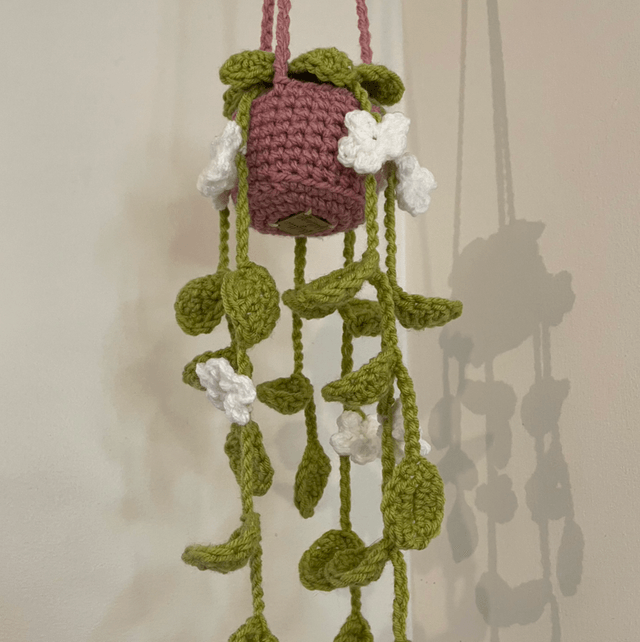Hanging plant