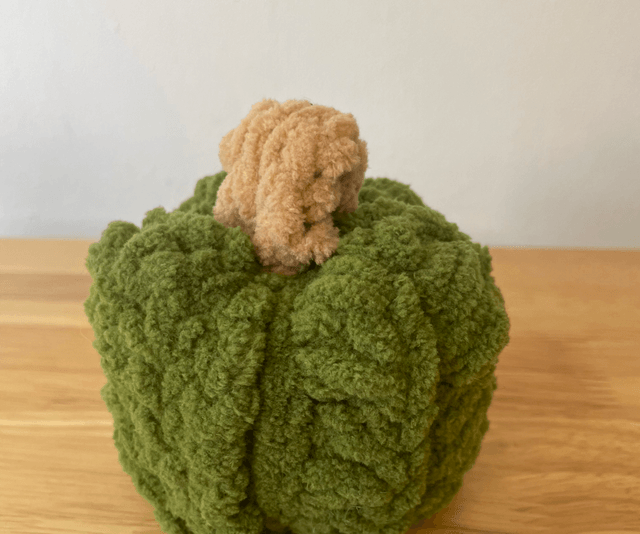 Small pumpkin