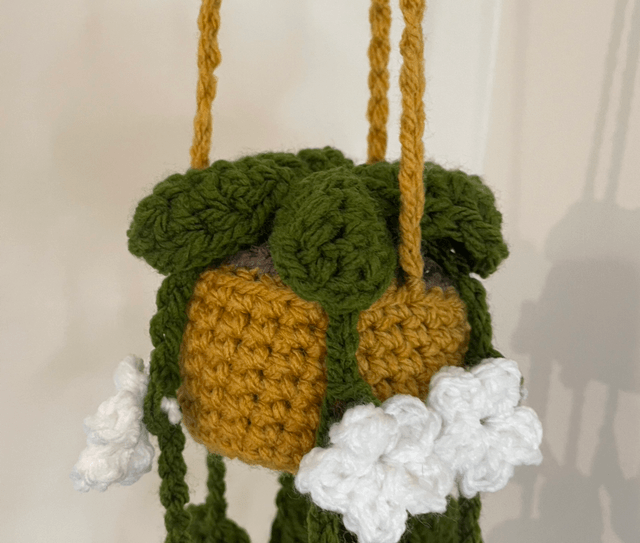Hanging plant