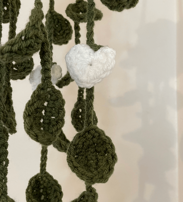 Valentines Hanging plants
