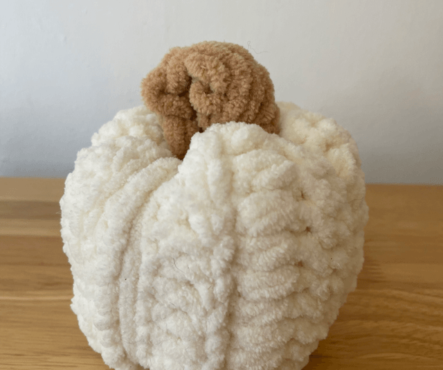Medium pumpkin