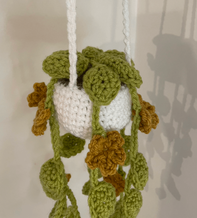 Hanging plant